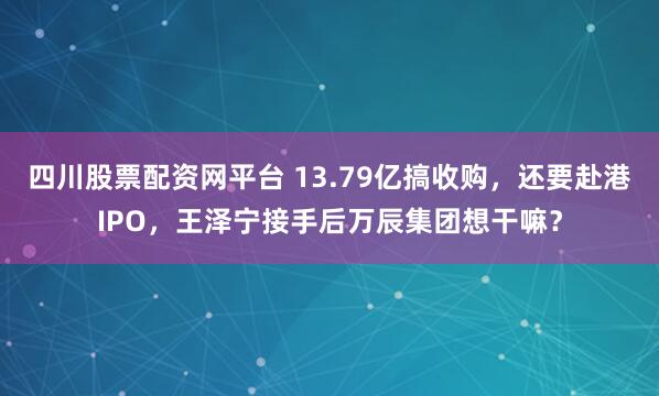 四川股票配资网平台 13.79亿搞收购，还要赴港IPO，王泽宁接手后万辰集团想干嘛？