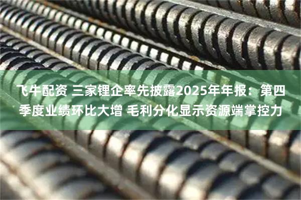 飞牛配资 三家锂企率先披露2025年年报：第四季度业绩环比大增 毛利分化显示资源端掌控力